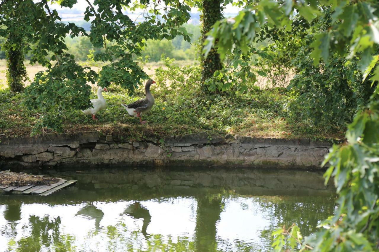 Chateau De La Frogerie Maulévrier エクステリア 写真